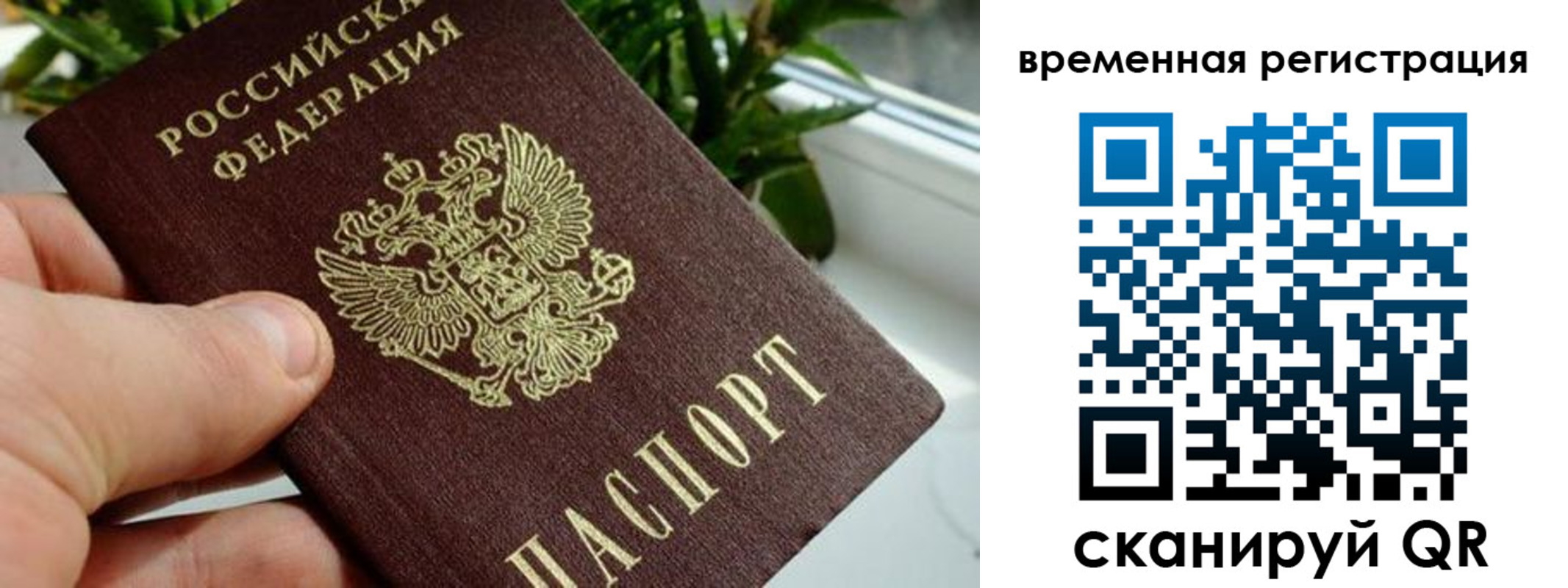 прописка поиск в Балее